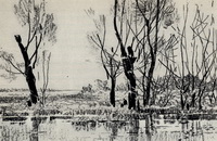 Ранней весной (В. Звонцов, 1962 г.)